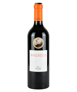 Malleolus