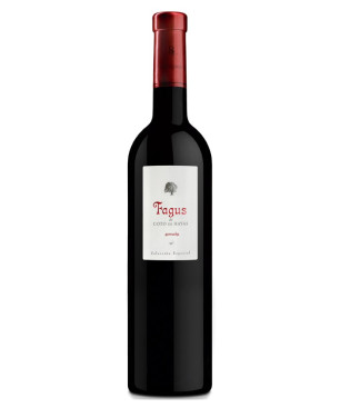 Fagus de Coto de Hayas 2013