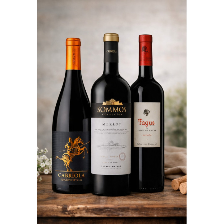 Selección Telvin Aragón - Pack 6 Botellas