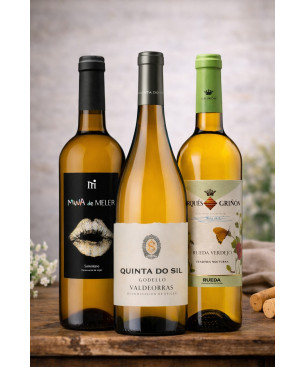 Lote 12 Somontanos