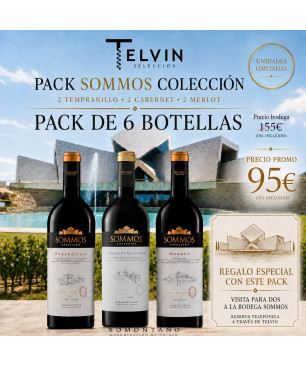 Lote 12 Somontanos