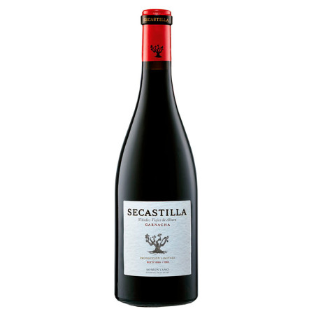 Secastilla