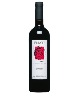 Enate Merlot-Merlot