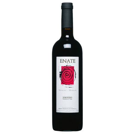 Enate Merlot-Merlot