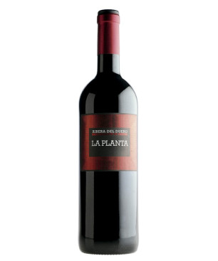 Arzuaga La Planta