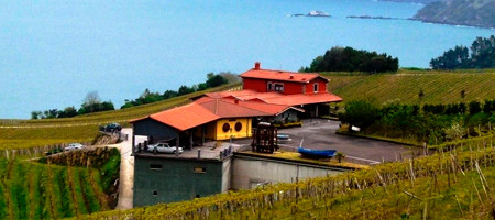 Bodega Ameztoi