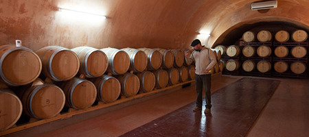 Bodega Cruz de Alba