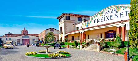 Cava Freixenet