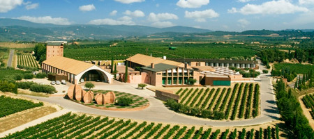Bodega Juve Camps
