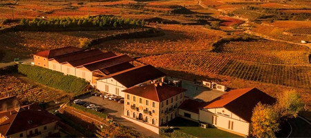 Bodega Luis Cañas