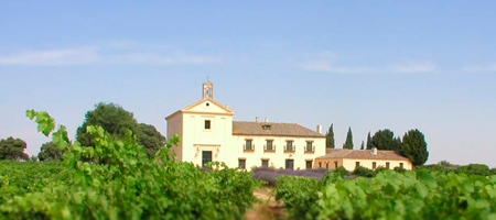 Bodega Martúequés de Griñón