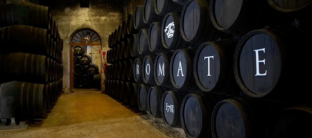 Bodega Sommos