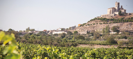 Bodega Ruberte