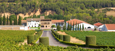 Bodega Segura Viudas
