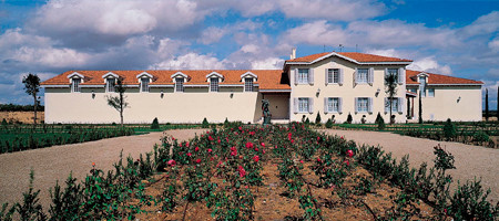 Bodegas Tarsus