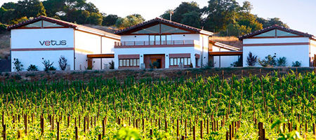 Bodega Vetus